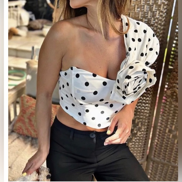 Zara POLKA DOT ROSE CROP TOP NEW  SIZE: S Sleeveless asymmetric neckline top. - Picture 1 of 5